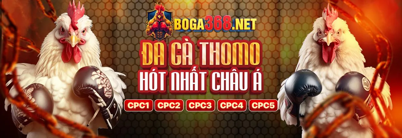 Khuyến mãi đá gà i8bet win